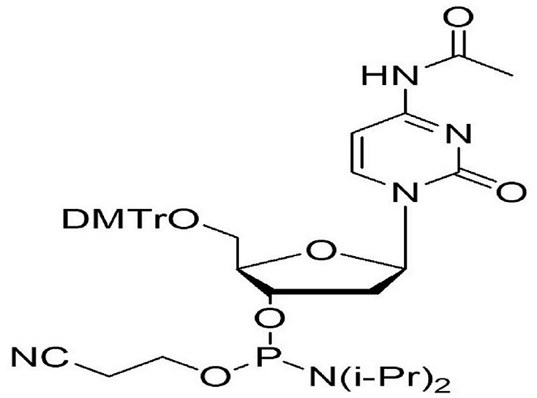 5'-ODMT N-Ac deoxycytidine amidite    